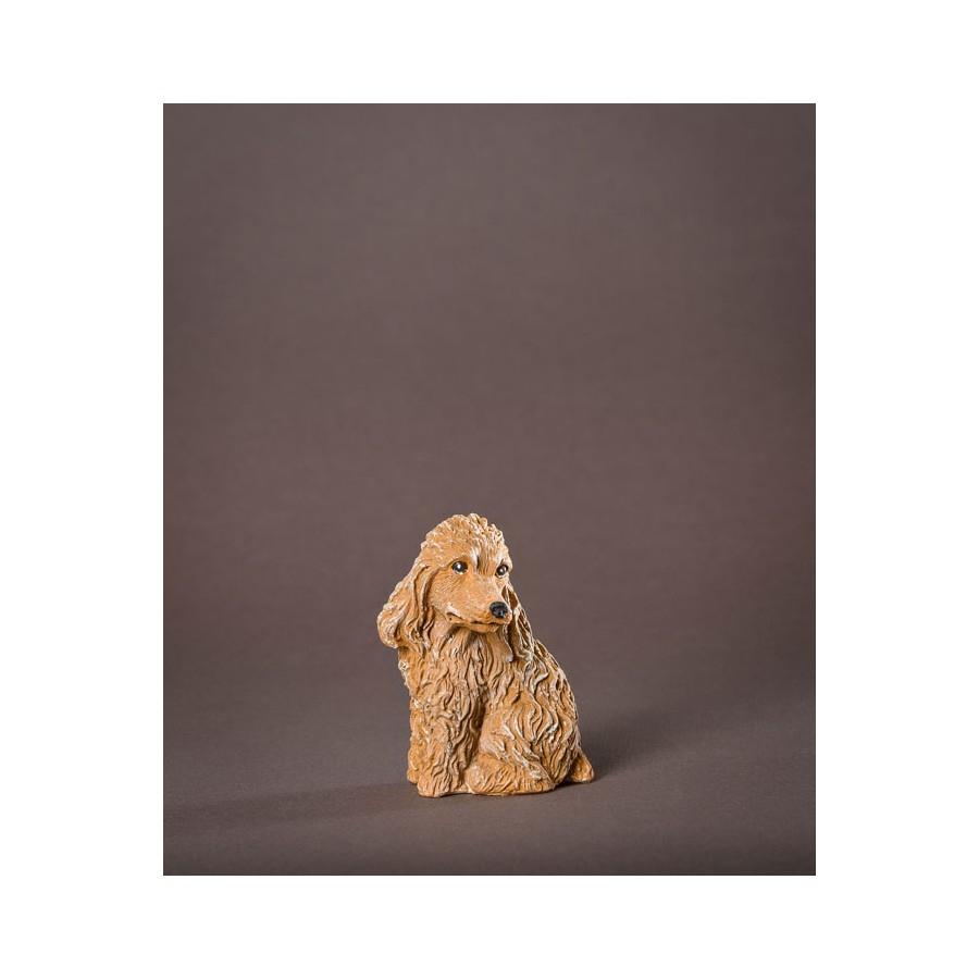 santon le chien de compagnie