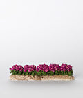 Rangée de Fleur Rose
